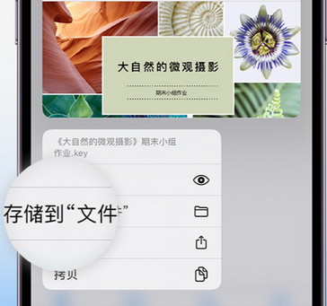 西陵apple维修中心分享iPhone文件应用中存储和找到下载文件