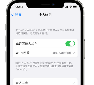 西陵apple服务站点分享iPhone上个人热点丢失了怎么办 