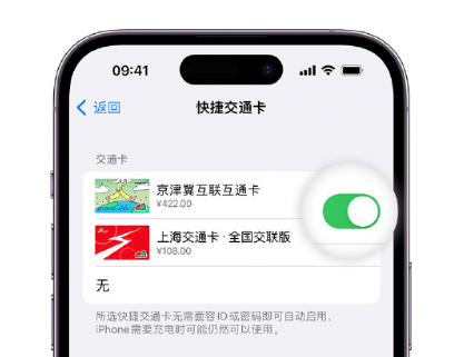 西陵apple维修点分享iPhone上更换Apple Pay快捷交通卡手绘卡面 