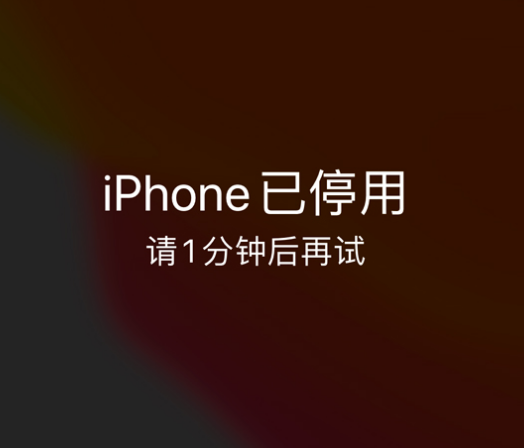 西陵苹果手机维修分享:iPhone 显示“不可用”或“已停用”怎么办？还能保留数据吗？ 