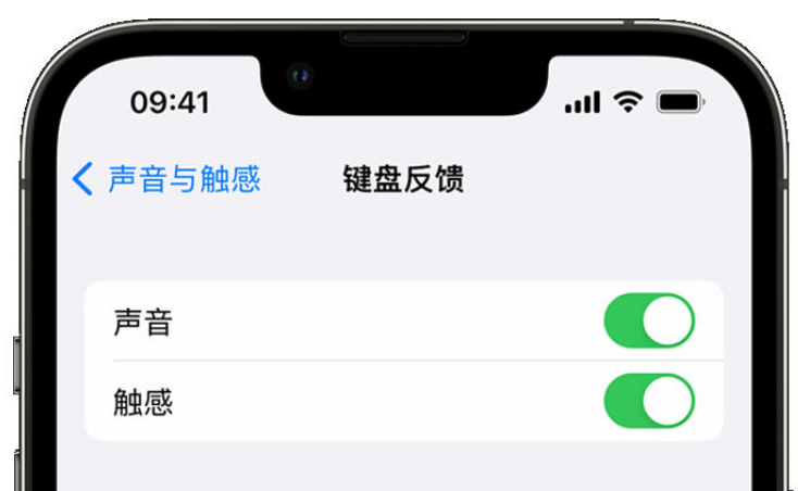 西陵苹果手机维修分享iPhone 14触感键盘使用方法 