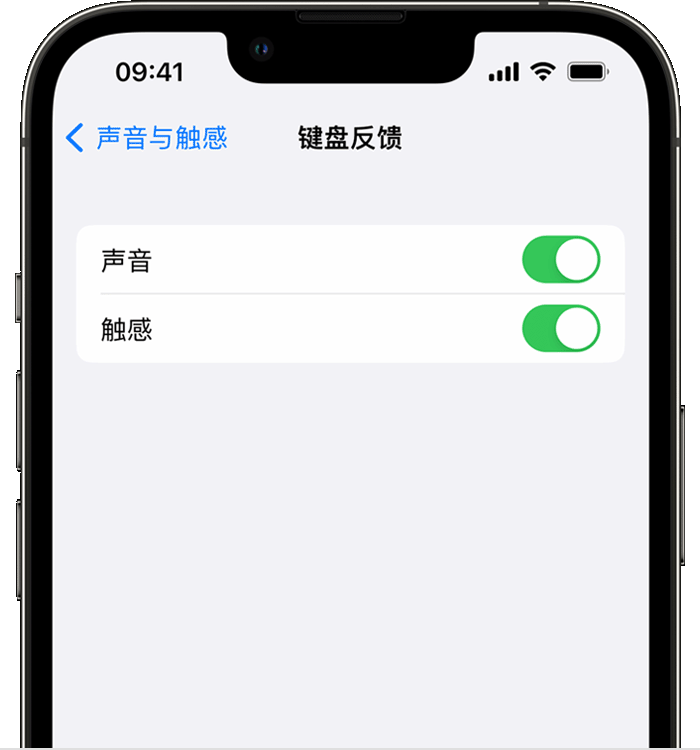 西陵苹果14维修店分享如何在 iPhone 14 机型中使用触感键盘 