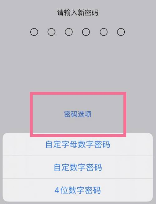 西陵苹果14维修分享iPhone 14plus设置密码的方法 