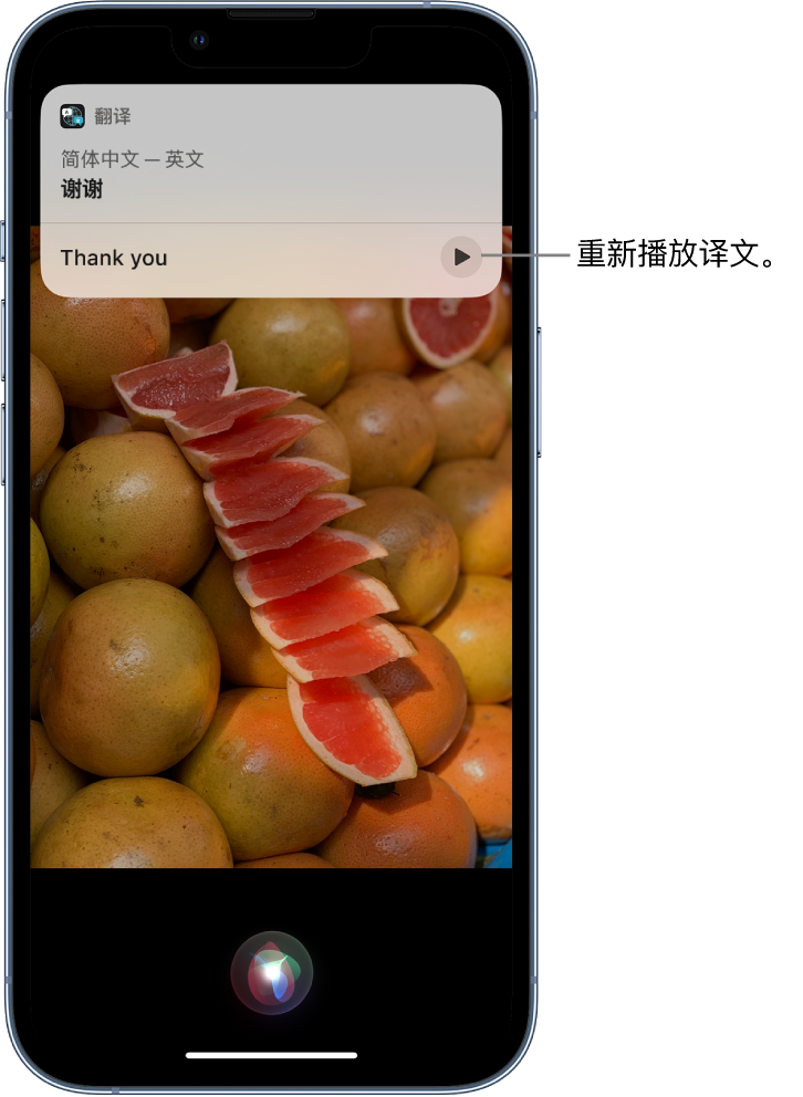 西陵苹果14维修分享 iPhone 14 机型中使用 Siri：了解 Siri 能帮你做什么 