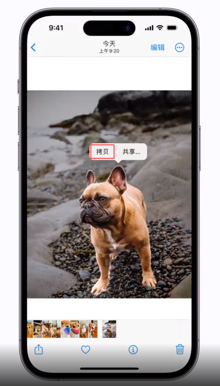 西陵苹果手机维修分享 iOS 16 自带一键抠图功能 