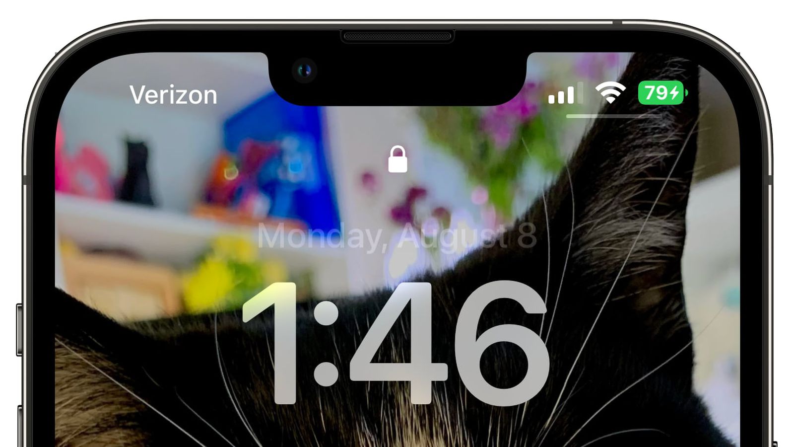 西陵苹果手机维修分享iOS 16 beta 5 支持状态栏显示电池百分比，如何开启？支持哪些机型 