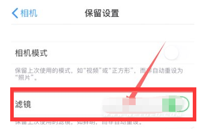 西陵苹果13维修分享iPhone13拍照有绿点是怎么回事 