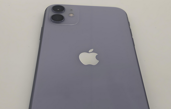 西陵苹果11系统维修分享iPhone11手机系统崩溃无法开机如何解决 